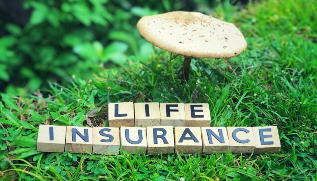 What Is Term Life Insurance?