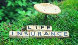 What Is Term Life Insurance?