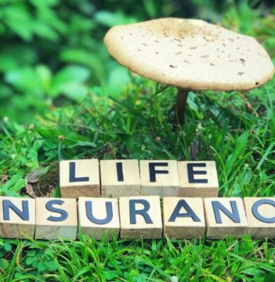 What Is Term Life Insurance?