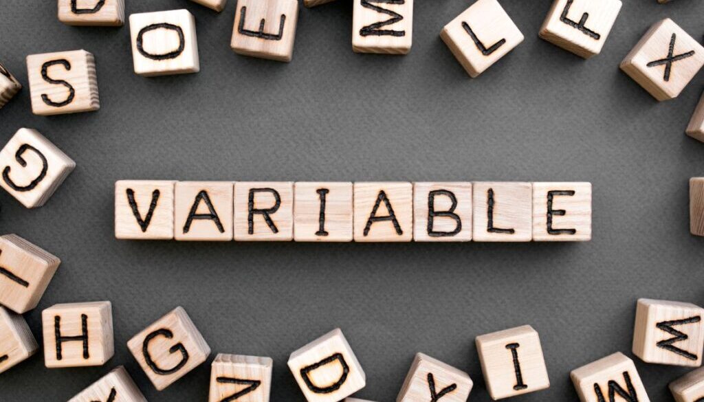 What Is Variable Life Insurance?